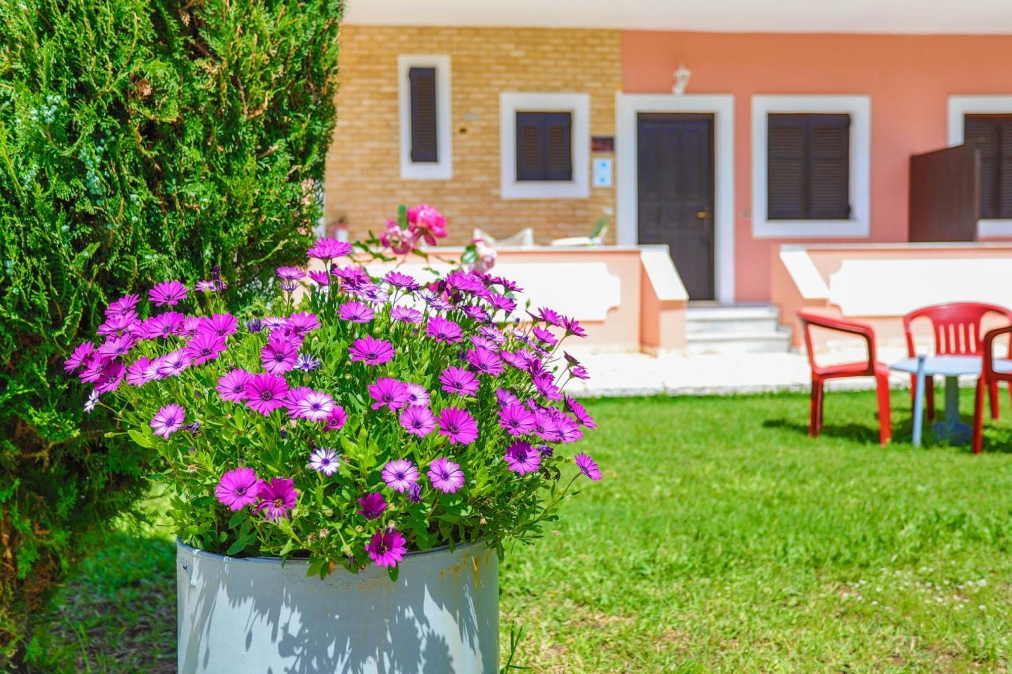 Amarylis Apartment Praia de Almiros Exterior foto